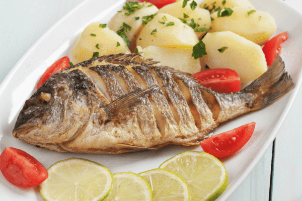 Fish