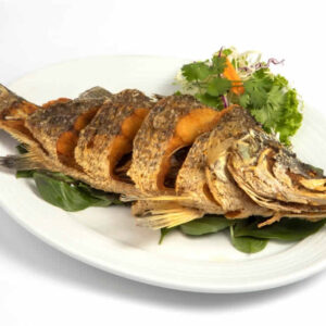 Fish