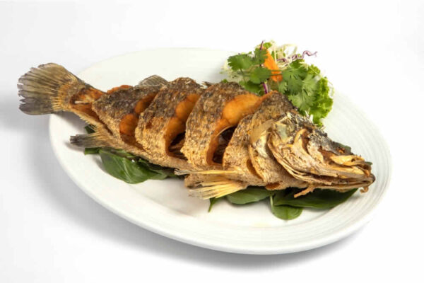 Fish